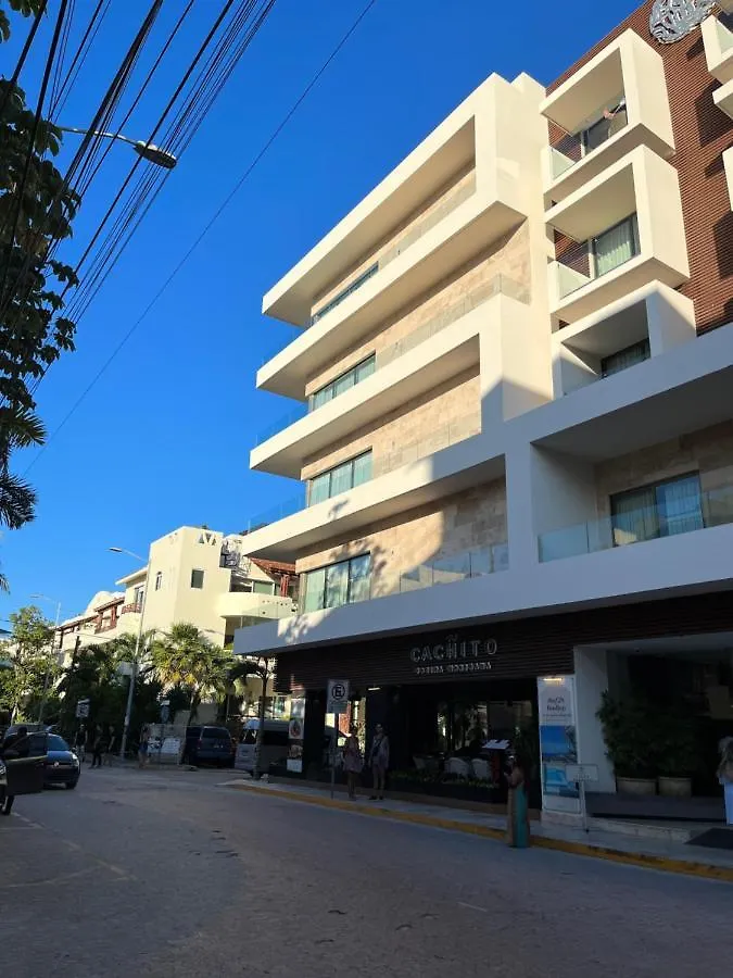 Thelmar Playa Mamitas Apartment Πλάγια Ντελ Κάρμεν Μεξικό